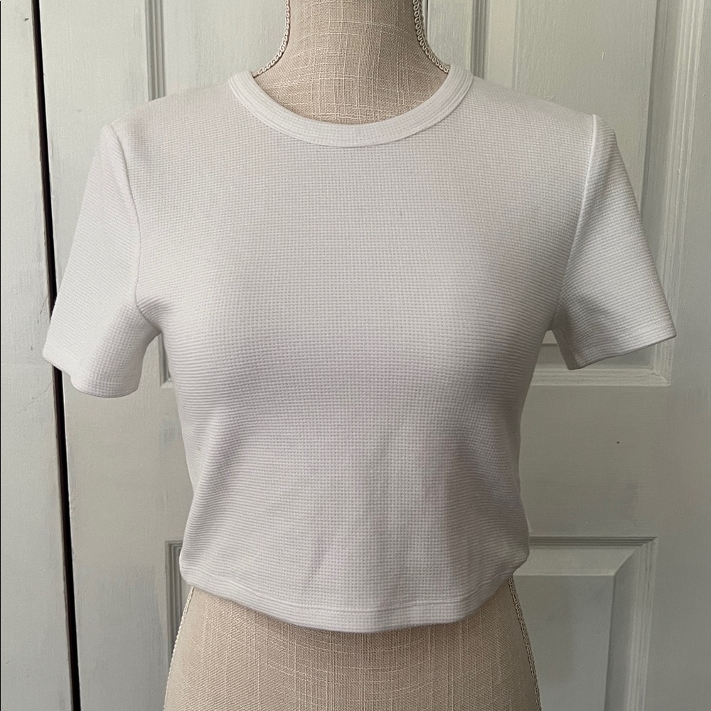 TNA White Crop Top Ribbed Baby Tee